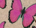 miaxd123