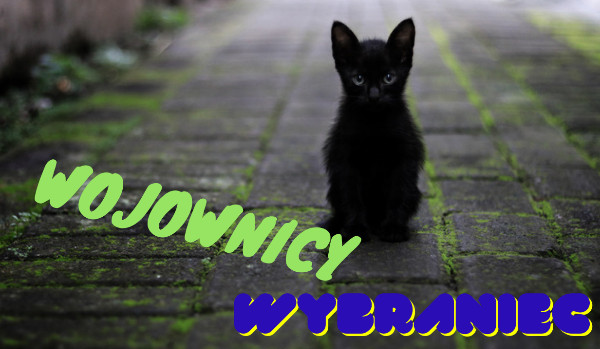 Wojwnicy Wybraniec Rozdział 7