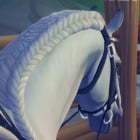 StarStable-Quizy