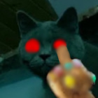 gracji