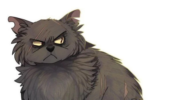 Q&A – odpowiedzi 2