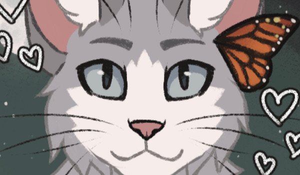 Q&A – odpowiedzi 1