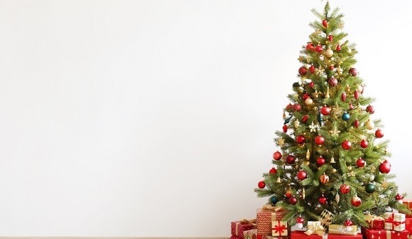 Jaką choinkę będzisz mieć w tym roku?
