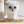 iloe9