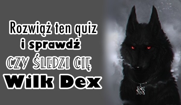 Rozwiąż ten quiz i sprawdź czy śledzi cię Wilk Dex