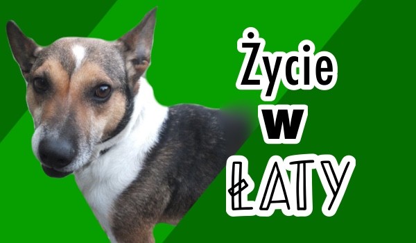 Życie w łaty #3