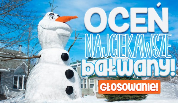 Oceń najciekawsze bałwany!