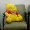 Wladca_Much2137