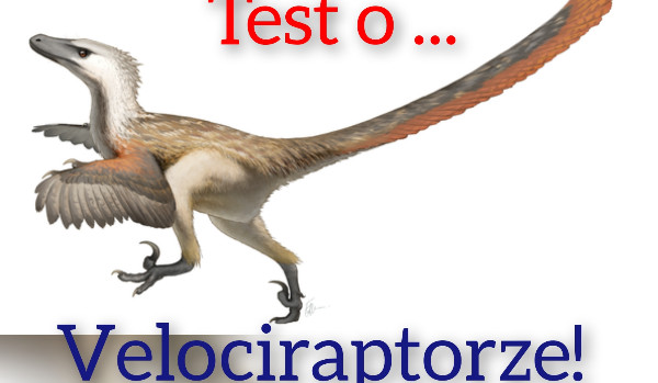 Test o Welociraptorze