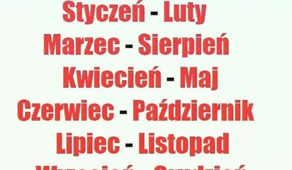 memsy o wszystkim #6