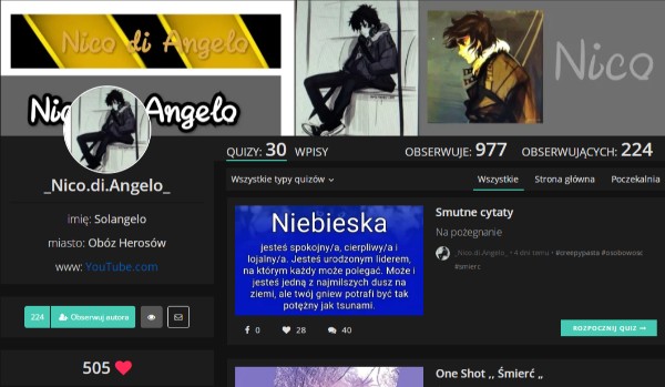 Ocena profilu @_Nico.di.Angelo_