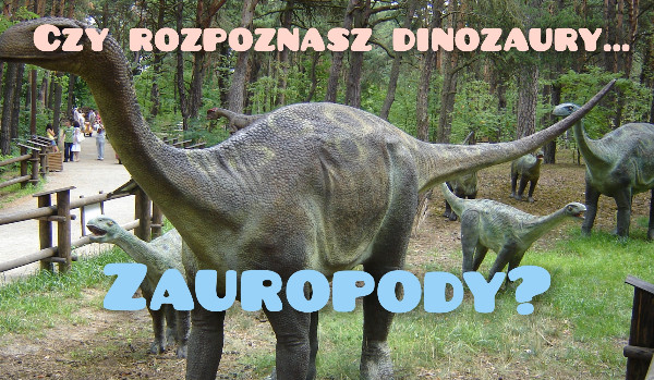 Czy rozpoznasz dinozaury | Zauropody