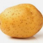 zaGazowany