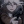Nagito123