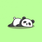 LazyPandaq