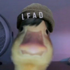 RysiekZach