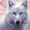 .Magic.animal.