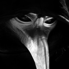 FanOfScp