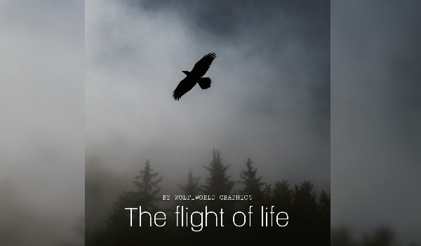 The flight of life