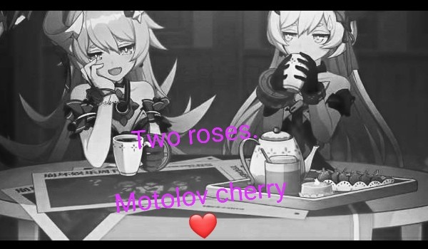 Two roses. Motolov cherry .1