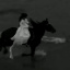 The_saga_winx