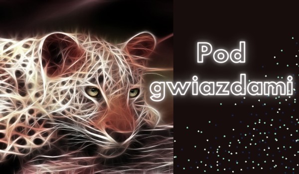 Pod gwiazdami #1