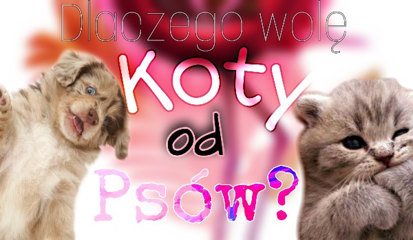 Dlaczego wole Koty od psów? Cz 1