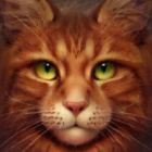 wiki-neko_lps
