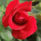 Basia220507