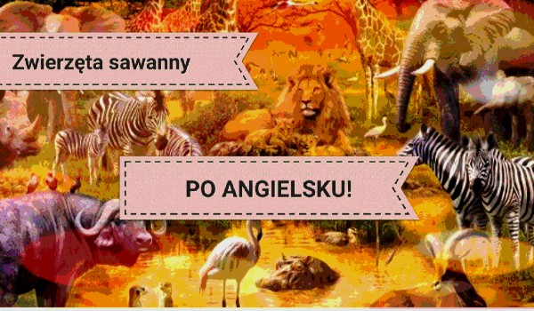 LITERY: zwierzęta sawanny po angielsku!