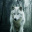 Whitewolfhobby