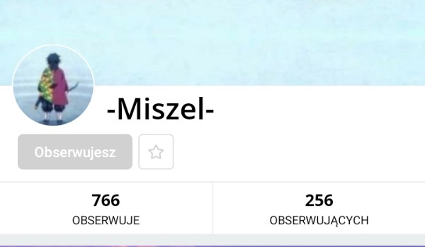 Ocenianie profilu @-Miszel-