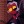 _Moxy_