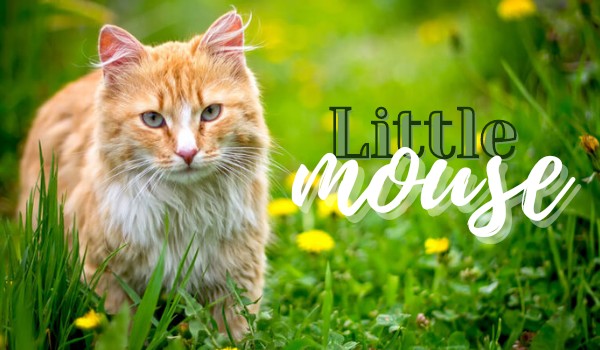 Little mouse | Part four