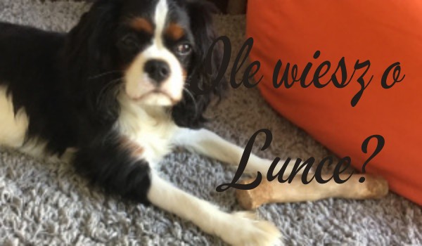 Ile wiesz o Lunce?