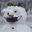 Snow_boy