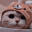 BiaCat