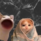 L3n7k