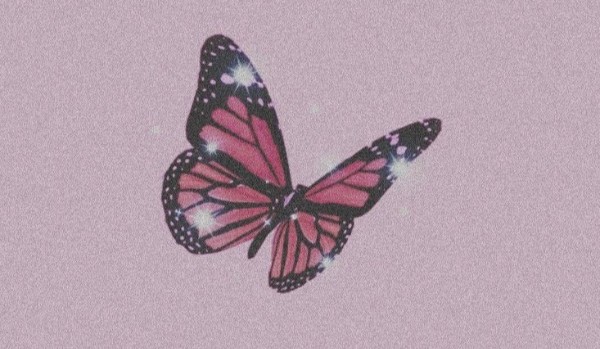Butterfly; graphic shop — wystroje do oddania NIEAKTYWNE