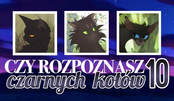 Czy rozpoznasz 10 czarnych kotów z „Wojowników”?