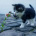 Izu___