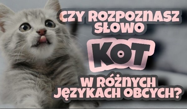 Czy rozpoznasz słowo „Kot” w różnych językach ?