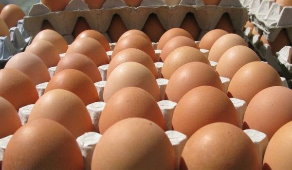 Jakim jajkiem jesteś [REMASTER EDITION]