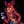 Foxy_the_pirate_-_