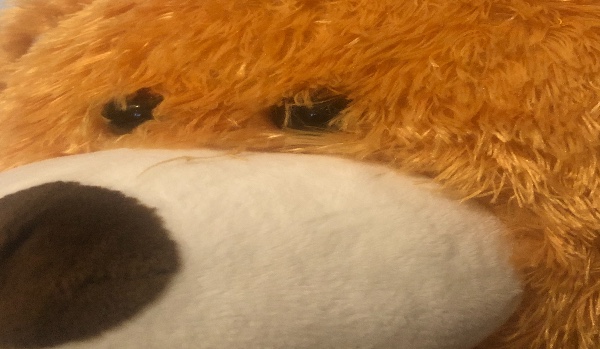 Czy Sara by Cię polubiła