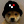 ReXterTheFirst