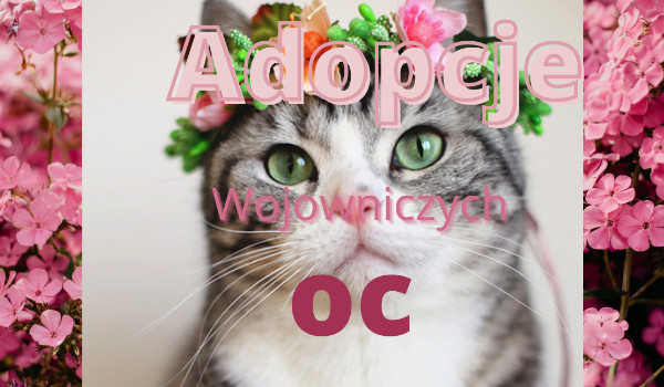 Adopcje Wojowniczych Oc(AWO)#2