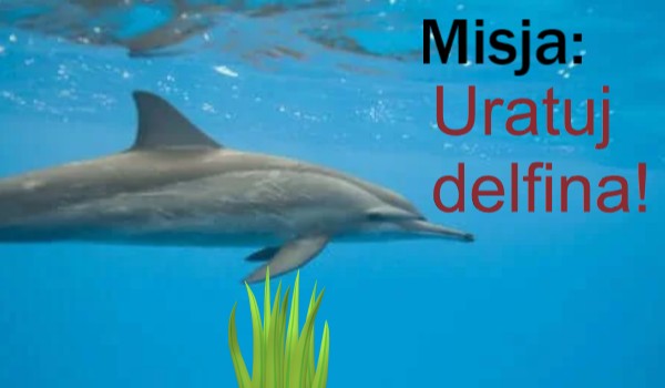Misja, uratuj delfina!
