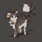 warriors_caat