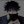 Toster_Kangoster
